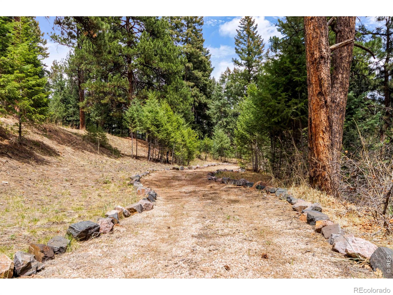7008 Bluff Trail Morrison CO 80465