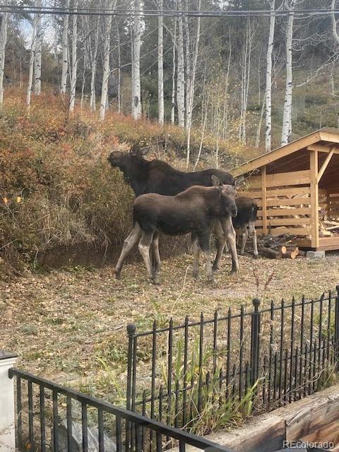 1170 Apex Valley Road Black Hawk CO 80422