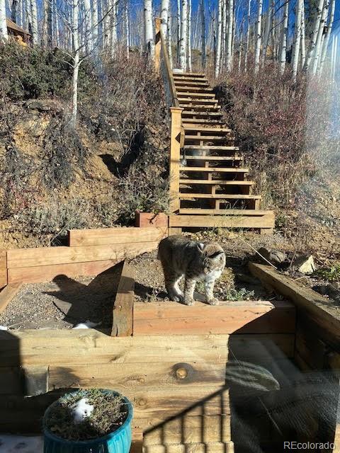 1170 Apex Valley Road Black Hawk CO 80422