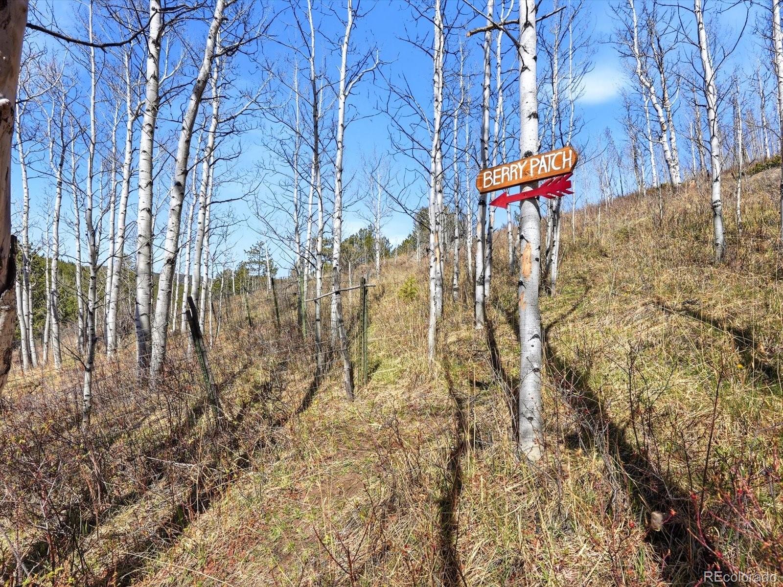 1170 Apex Valley Road Black Hawk CO 80422