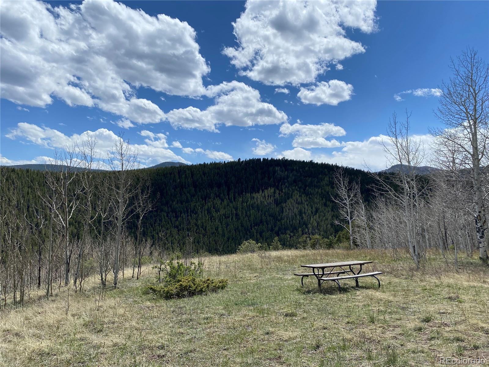 1170 Apex Valley Road Black Hawk CO 80422