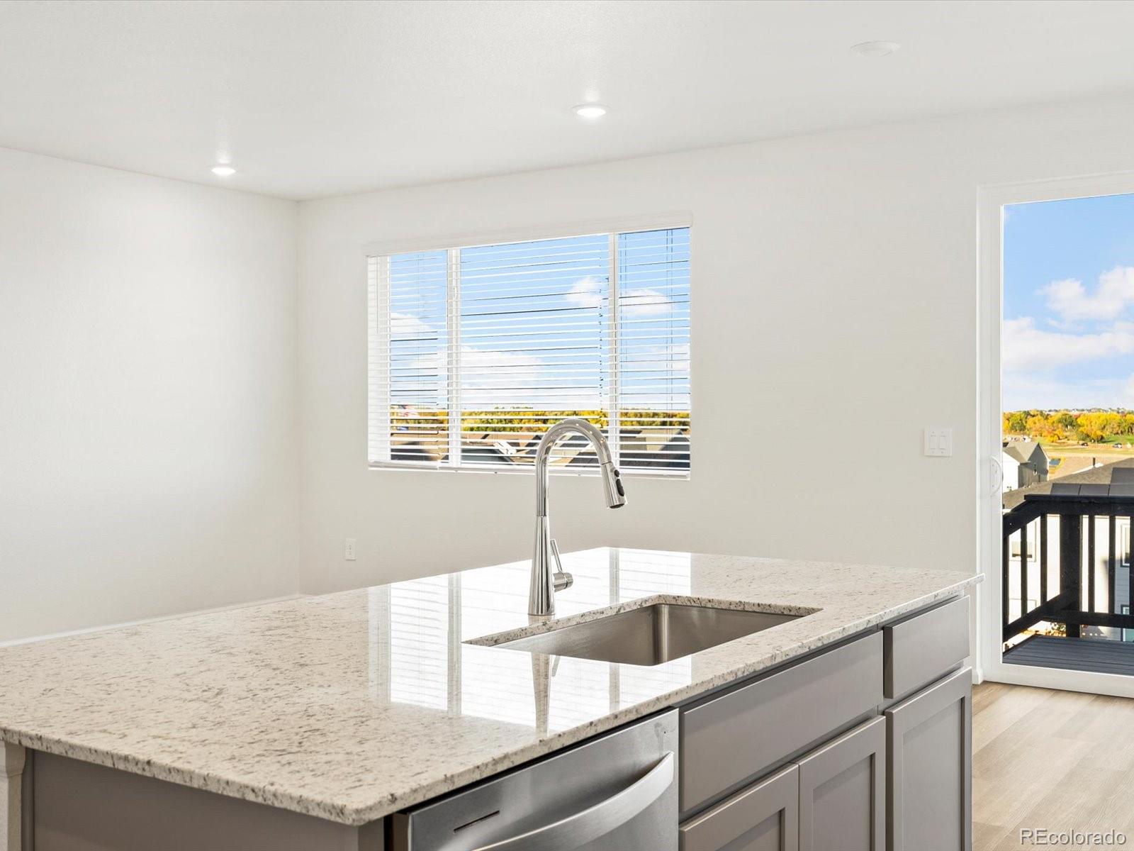 1695 Yampa River Drive Windsor CO 80550
