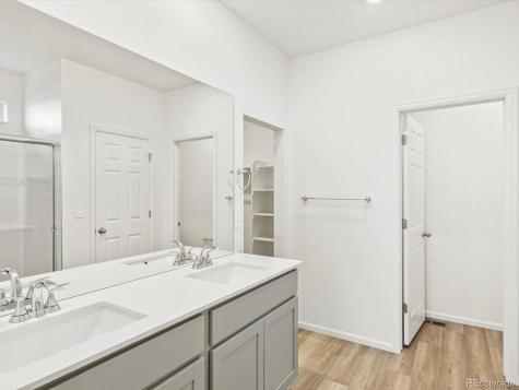 1695 Yampa River Drive Windsor CO 80550