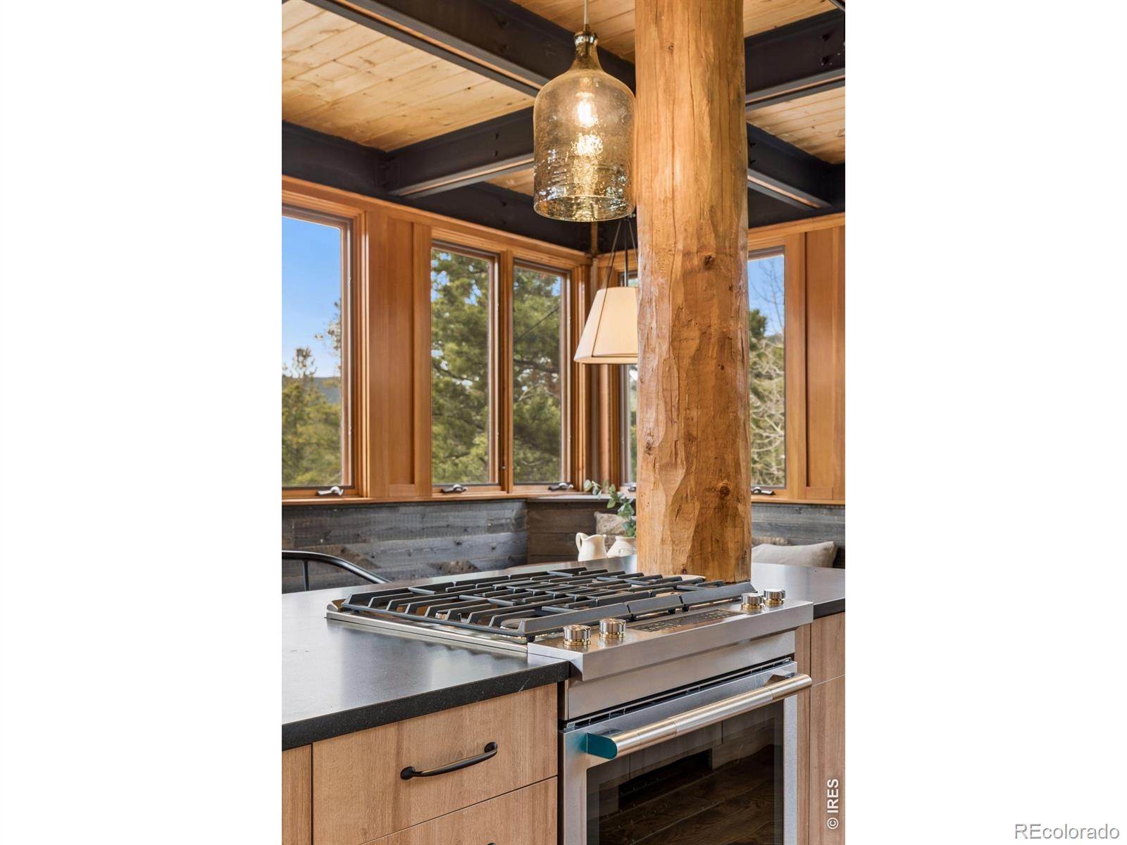 96 Bristlecone Way Black Hawk CO 80422