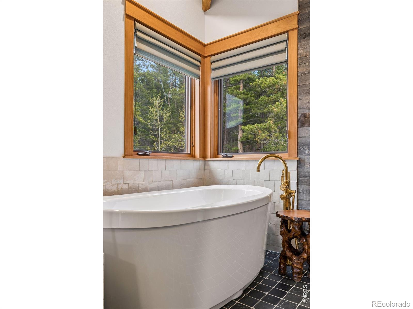 96 Bristlecone Way Black Hawk CO 80422