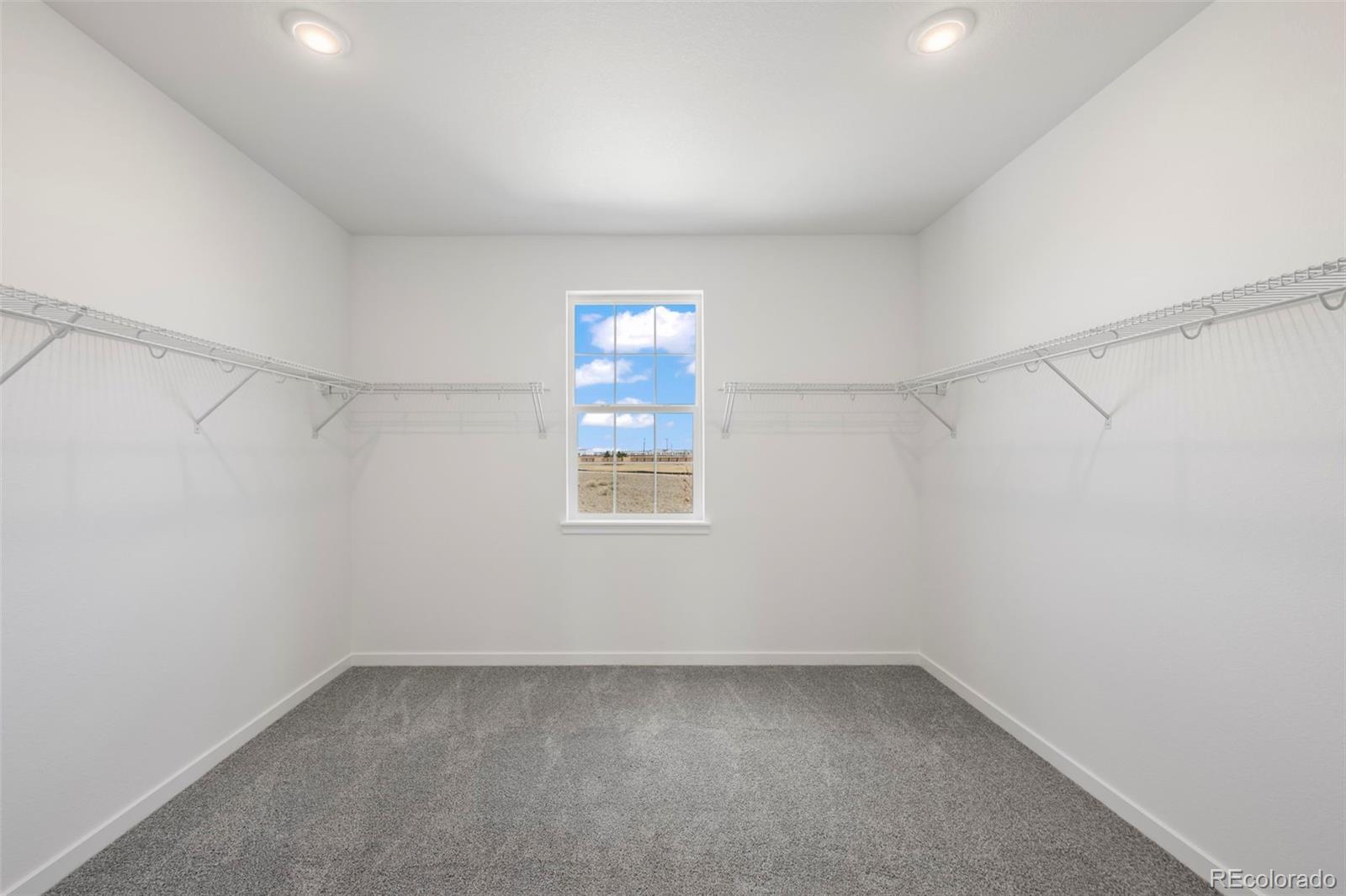 4043 Emerald Shore Drive Loveland CO 80538