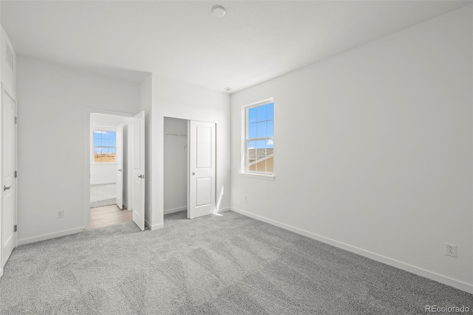 4043 Emerald Shore Drive Loveland CO 80538