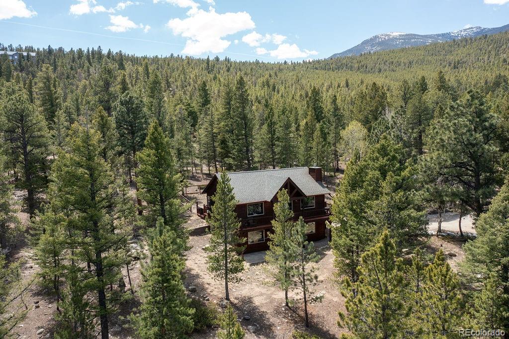 30433 National Forest Drive Buena Vista CO 81211