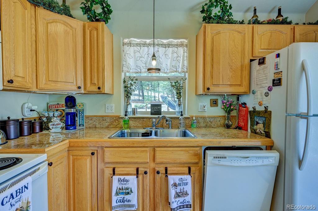 30433 National Forest Drive Buena Vista CO 81211