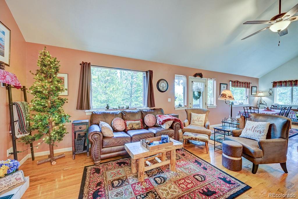 30433 National Forest Drive Buena Vista CO 81211