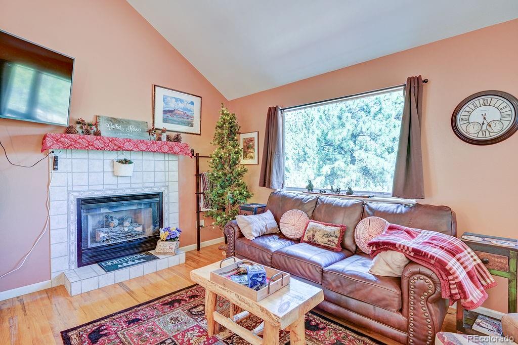 30433 National Forest Drive Buena Vista CO 81211