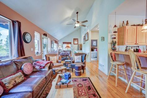 30433 National Forest Drive Buena Vista CO 81211