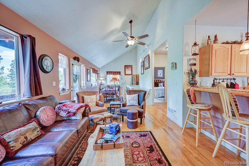 30433 National Forest Drive Buena Vista CO 81211