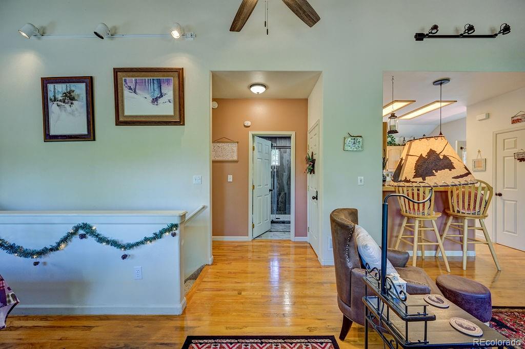30433 National Forest Drive Buena Vista CO 81211