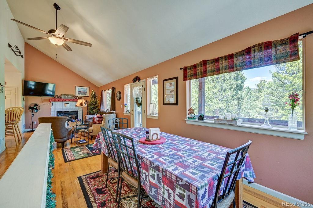 30433 National Forest Drive Buena Vista CO 81211