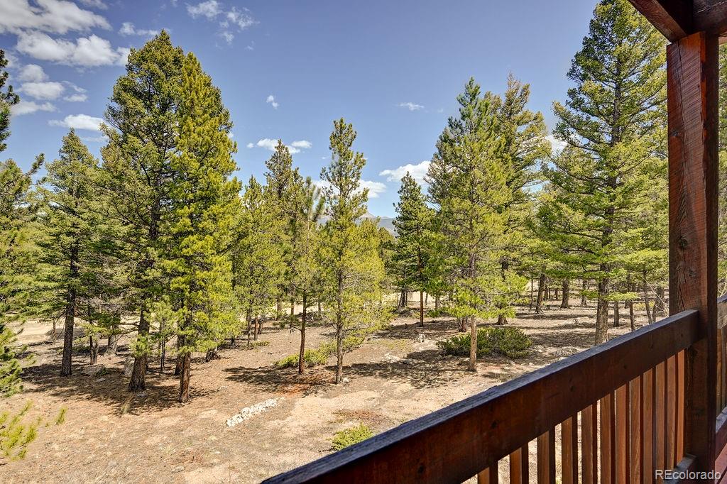 30433 National Forest Drive Buena Vista CO 81211