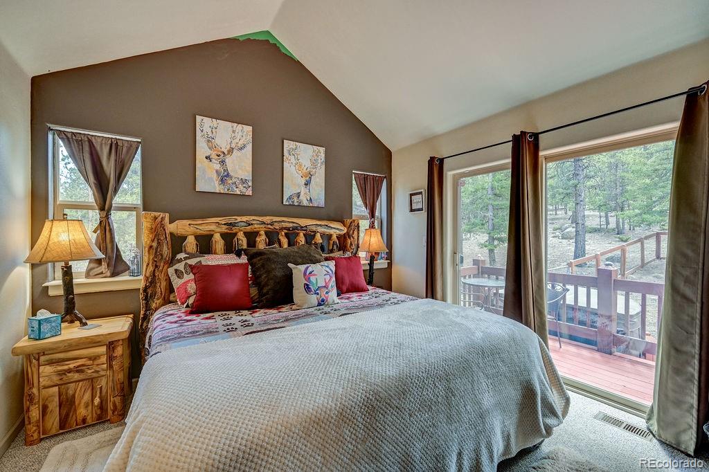 30433 National Forest Drive Buena Vista CO 81211