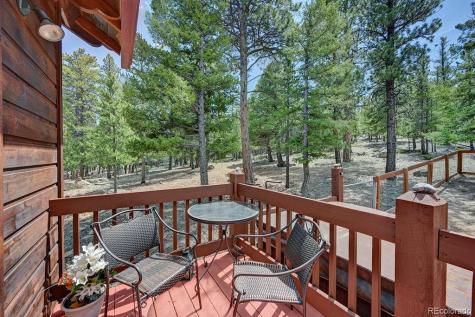30433 National Forest Drive Buena Vista CO 81211
