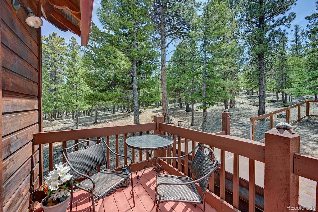 30433 National Forest Drive Buena Vista CO 81211
