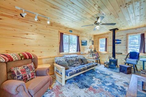 30433 National Forest Drive Buena Vista CO 81211