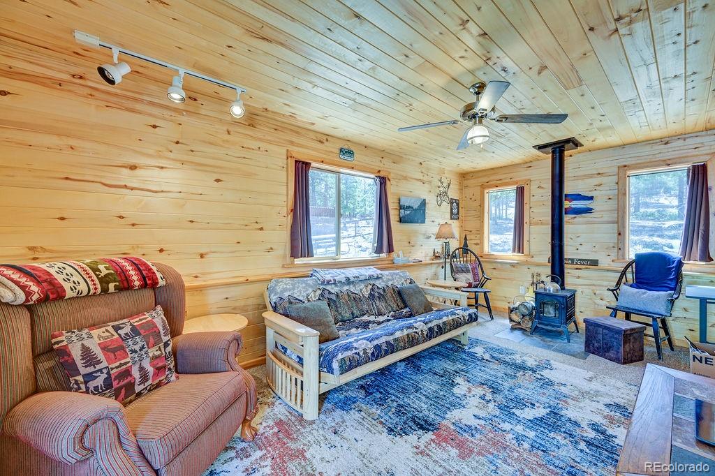 30433 National Forest Drive Buena Vista CO 81211