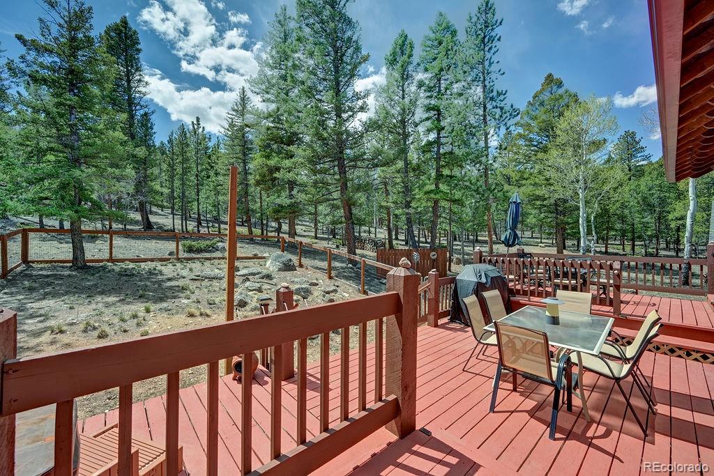 30433 National Forest Drive Buena Vista CO 81211