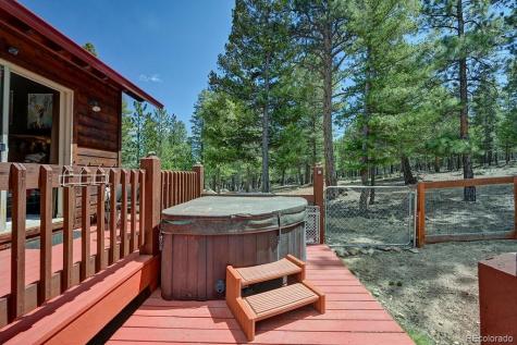 30433 National Forest Drive Buena Vista CO 81211