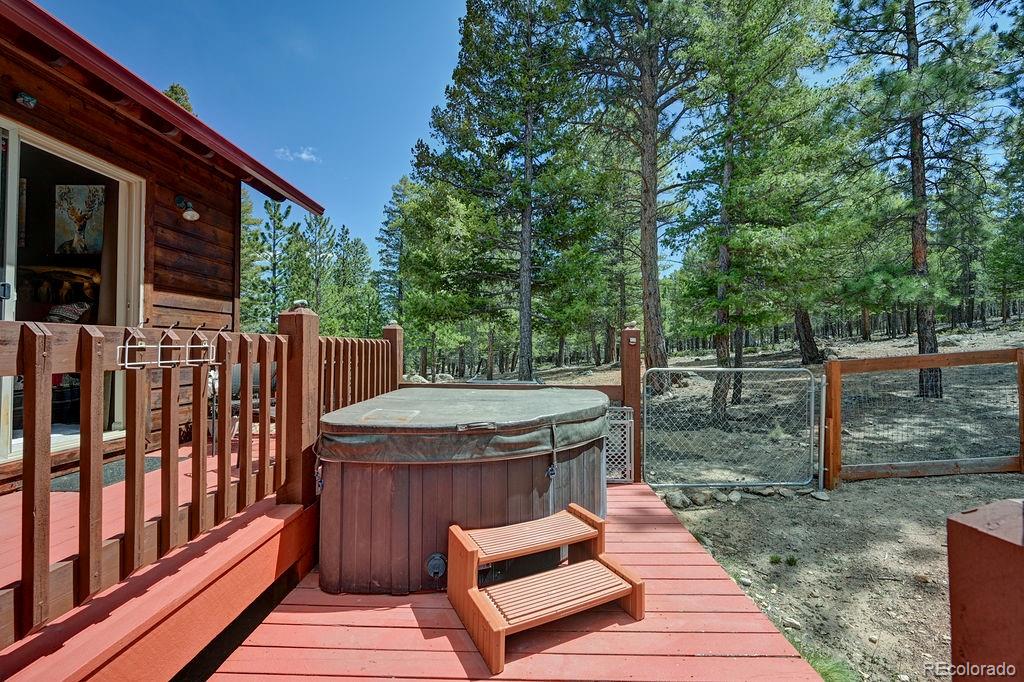 30433 National Forest Drive Buena Vista CO 81211