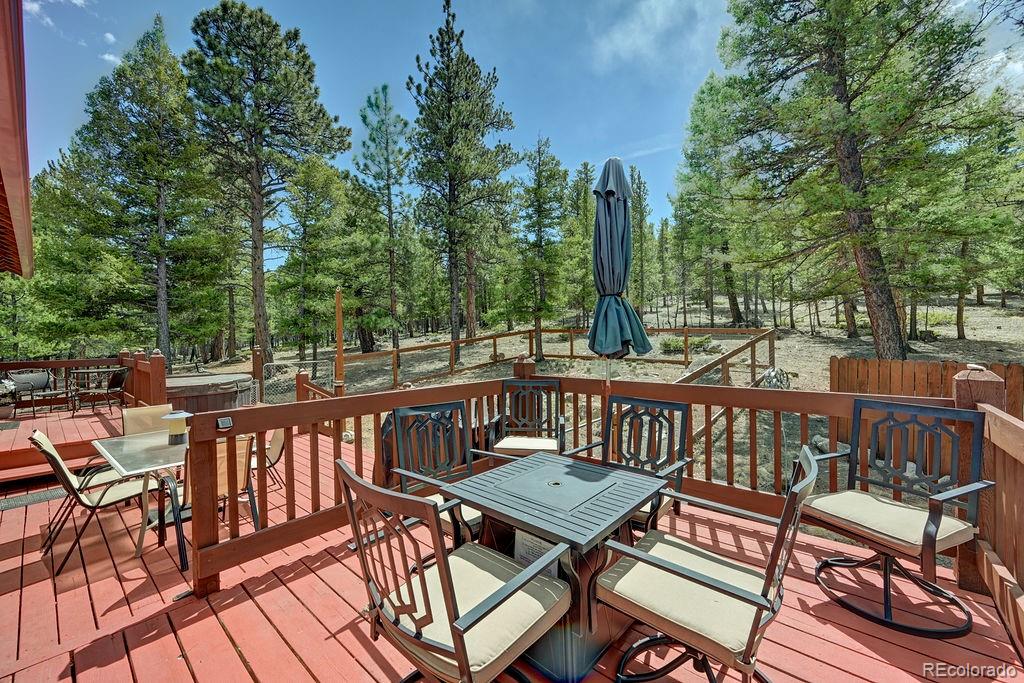 30433 National Forest Drive Buena Vista CO 81211