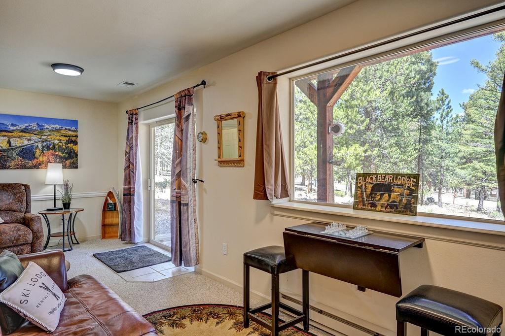 30433 National Forest Drive Buena Vista CO 81211