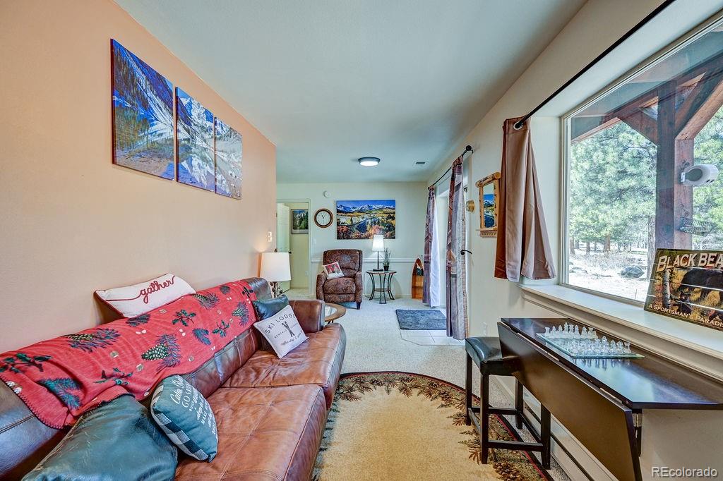 30433 National Forest Drive Buena Vista CO 81211