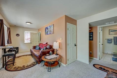 30433 National Forest Drive Buena Vista CO 81211