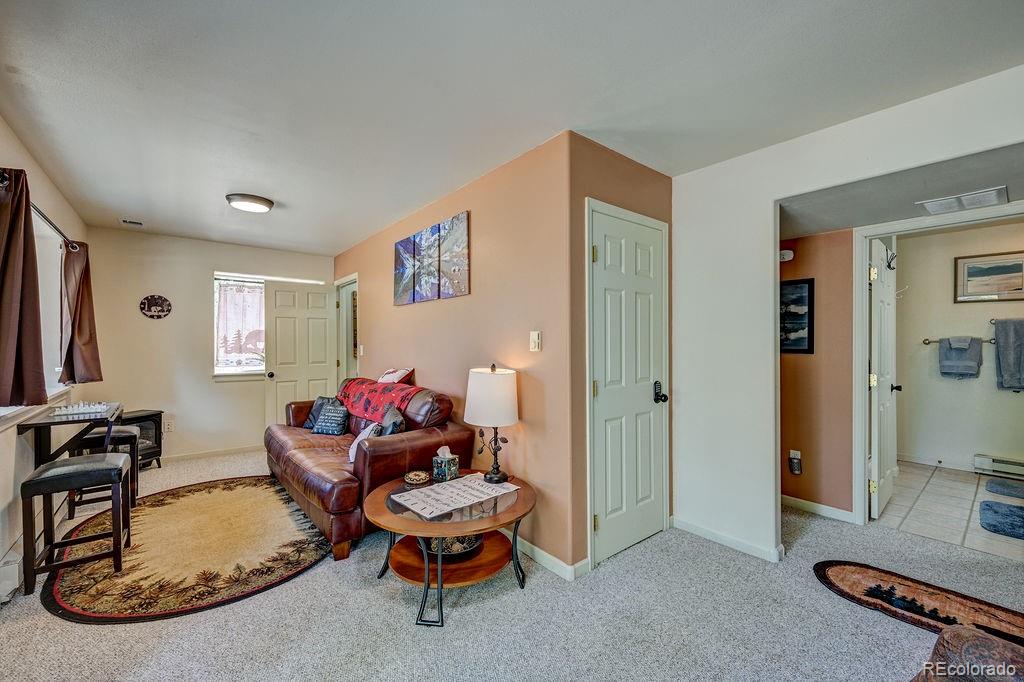 30433 National Forest Drive Buena Vista CO 81211