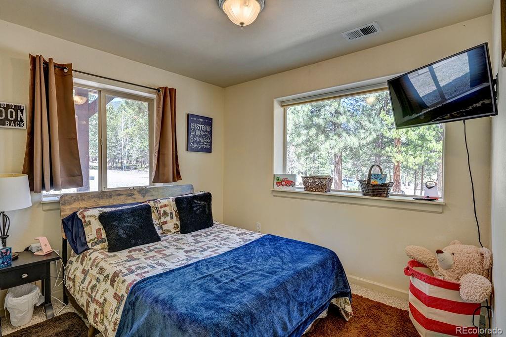30433 National Forest Drive Buena Vista CO 81211