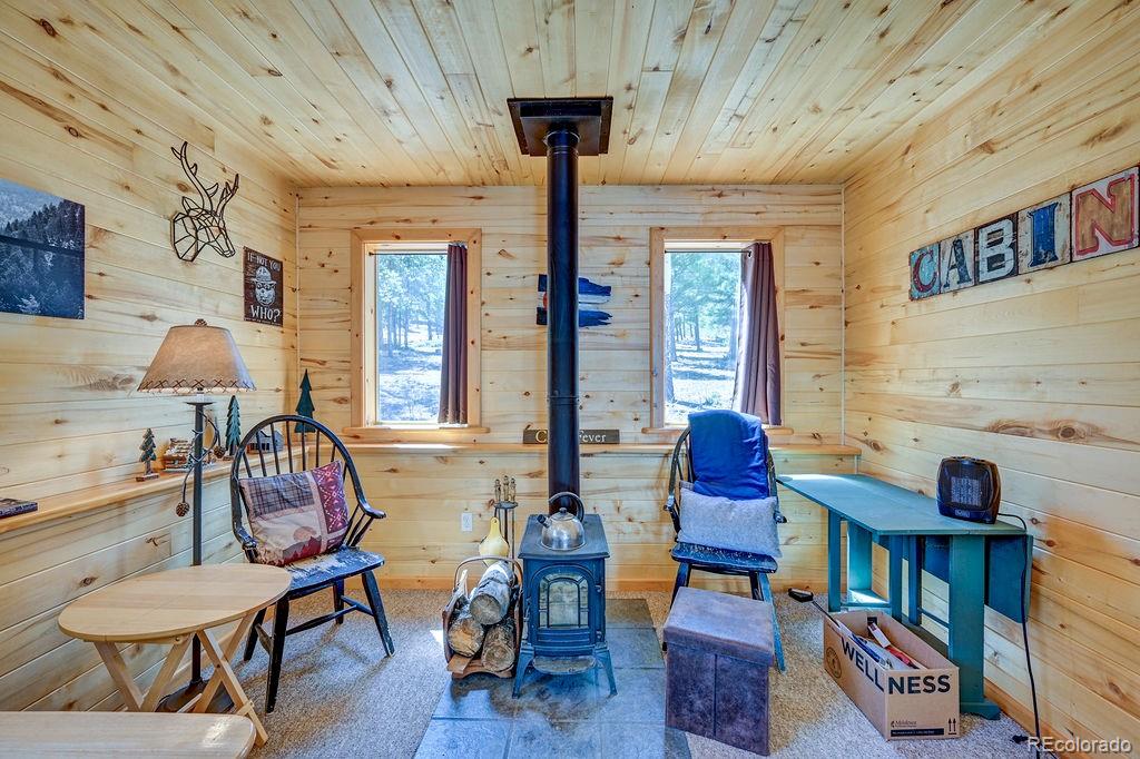 30433 National Forest Drive Buena Vista CO 81211