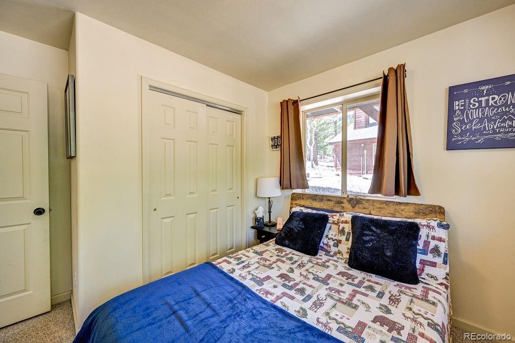 30433 National Forest Drive Buena Vista CO 81211