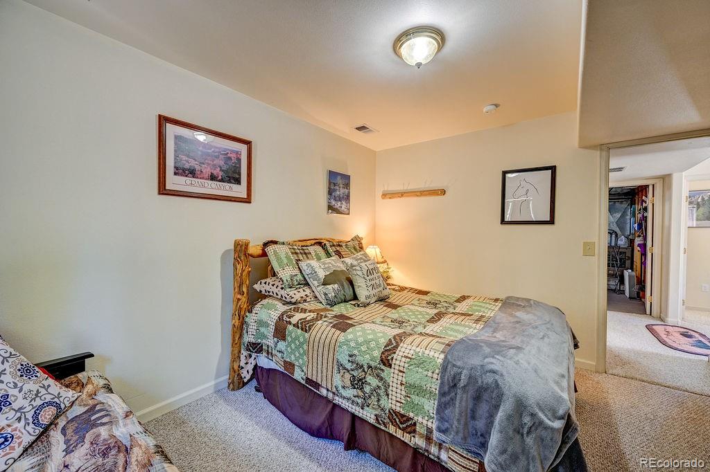 30433 National Forest Drive Buena Vista CO 81211