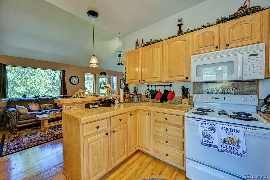 30433 National Forest Drive Buena Vista CO 81211