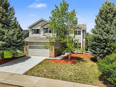 711 Briar Ridge Court Castle Pines CO 80108