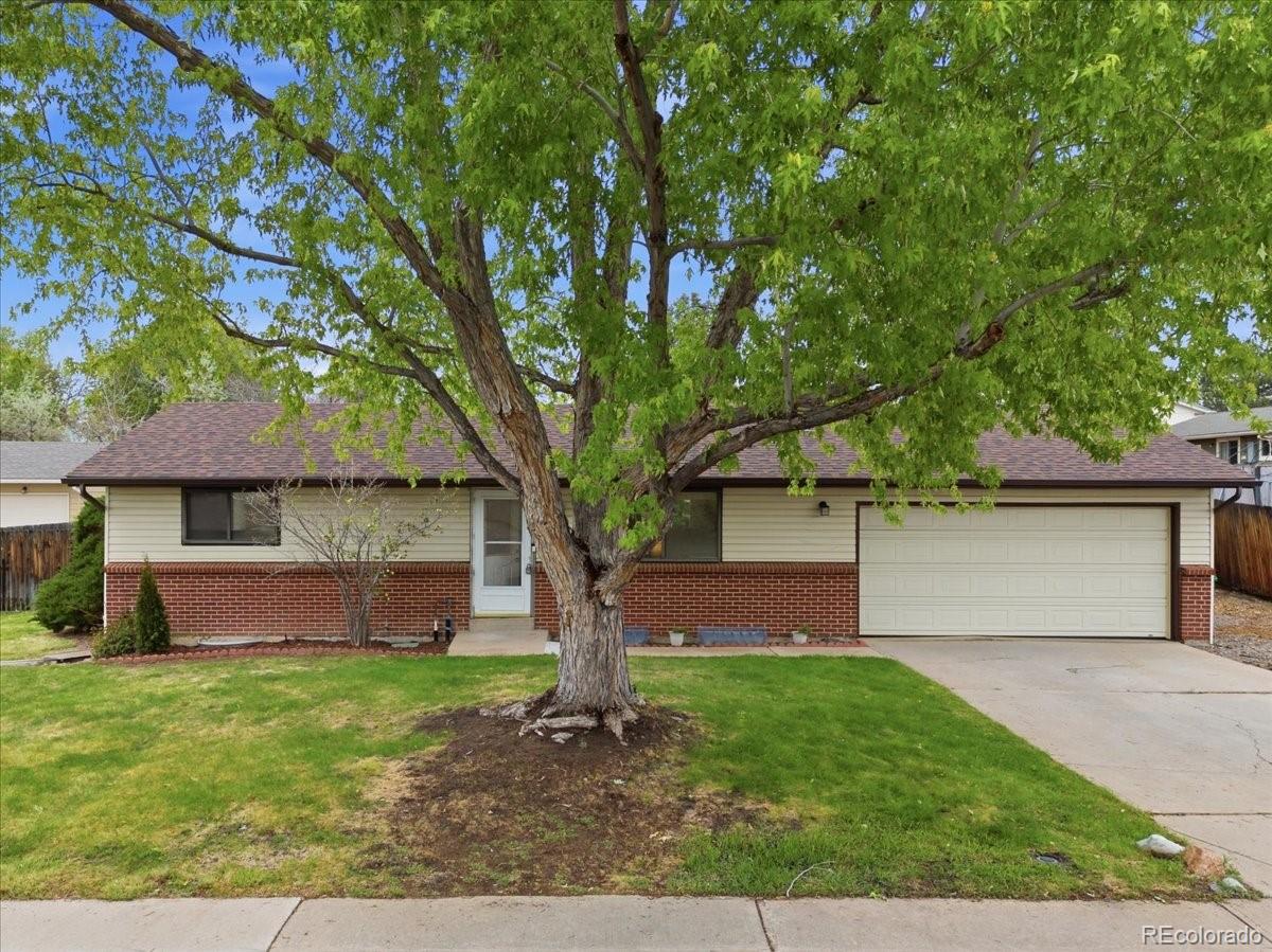 13255 Saturn Drive Lone Tree CO 80124
