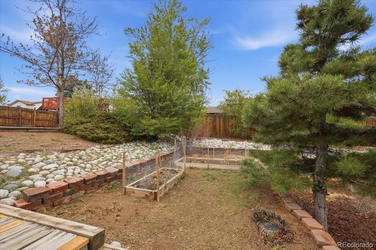 13255 Saturn Drive Lone Tree CO 80124