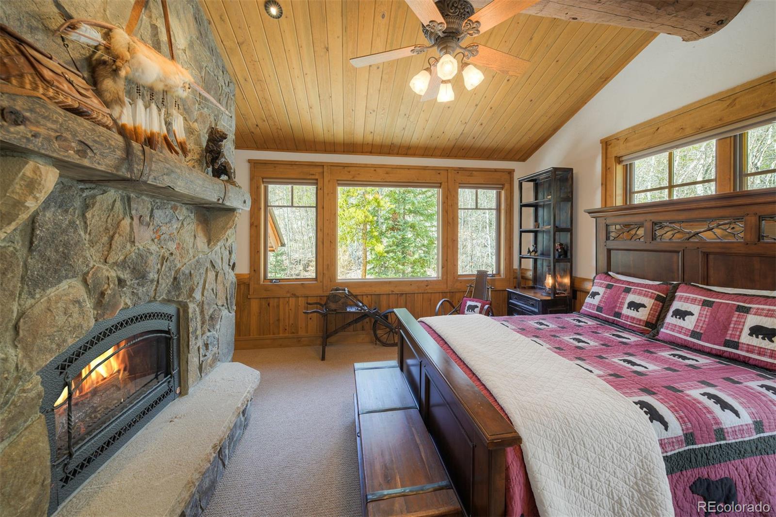 250 Buckeye Creek Road Leadville CO 80461