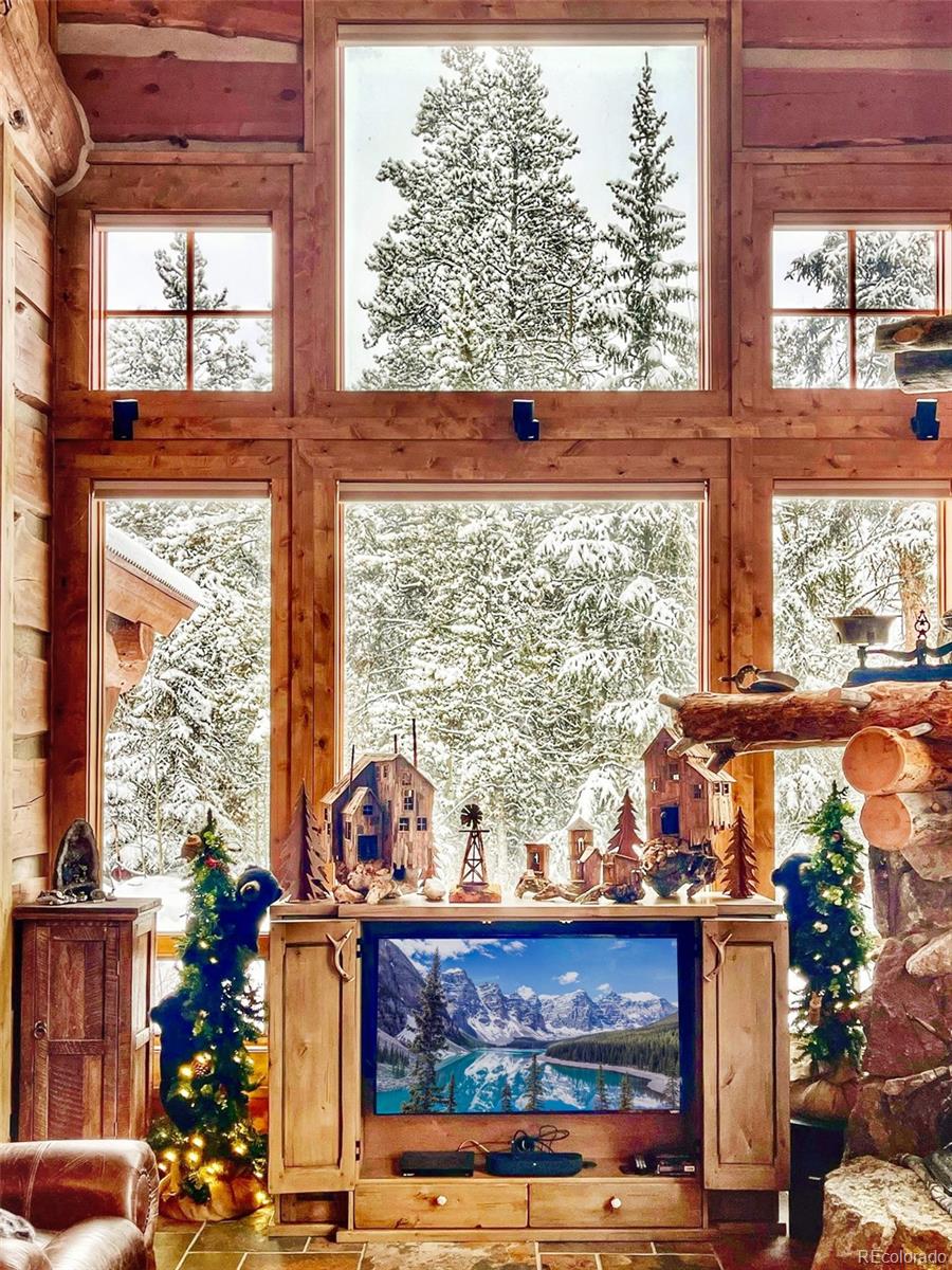250 Buckeye Creek Road Leadville CO 80461