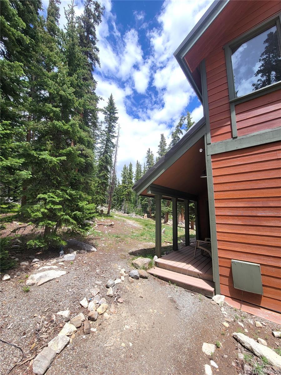 1561 Prunes Place Fairplay CO 80440