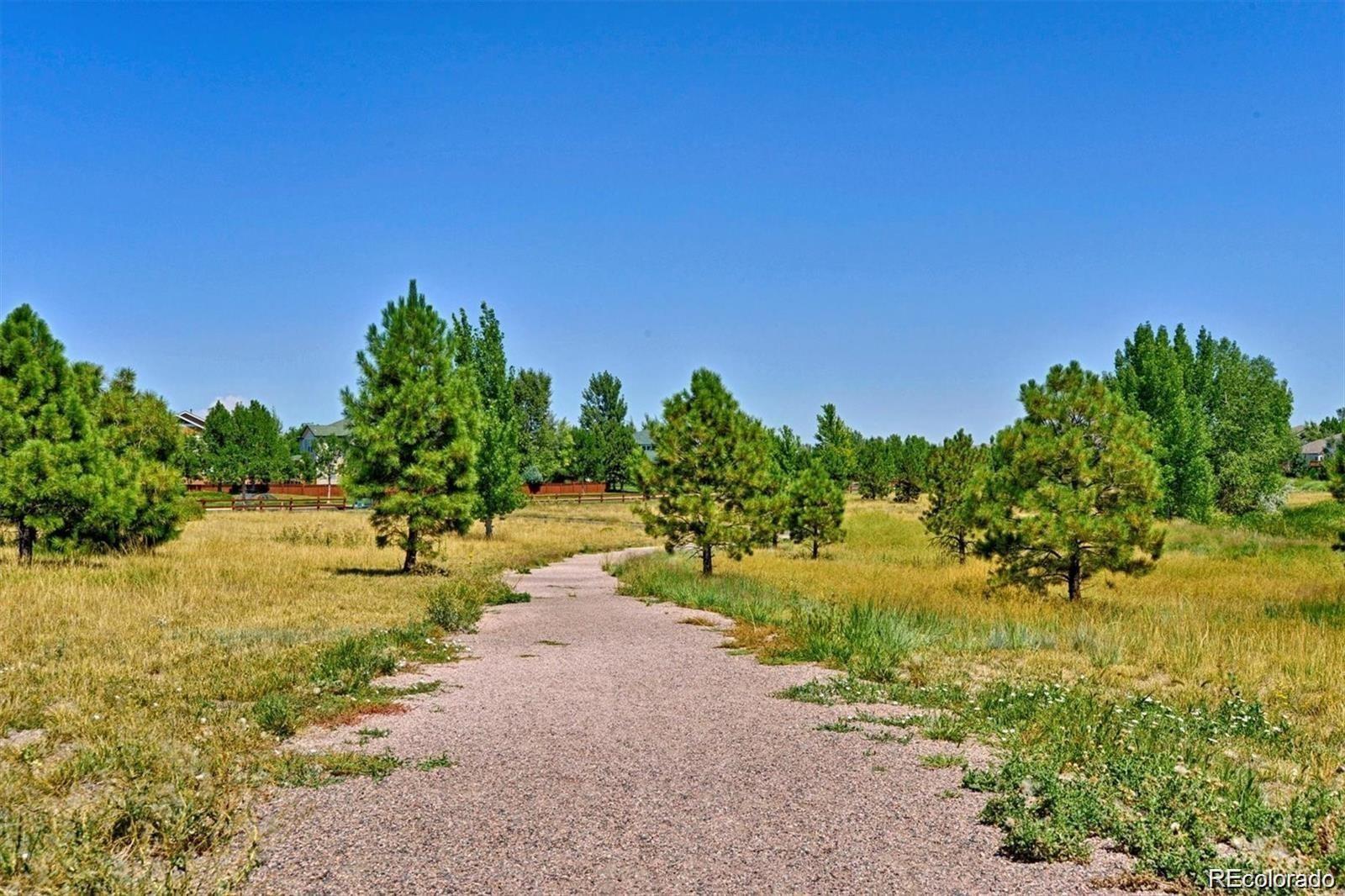 16221 White Hawk Drive Parker CO 80134