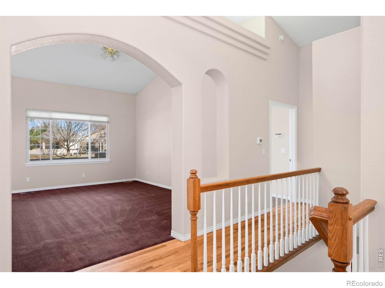 3740 Doral Drive Longmont CO 80503