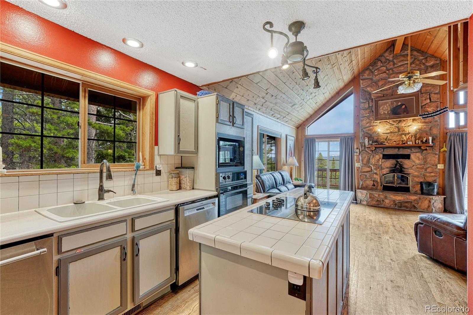 153 Nebraska Drive Idaho Springs CO 80452