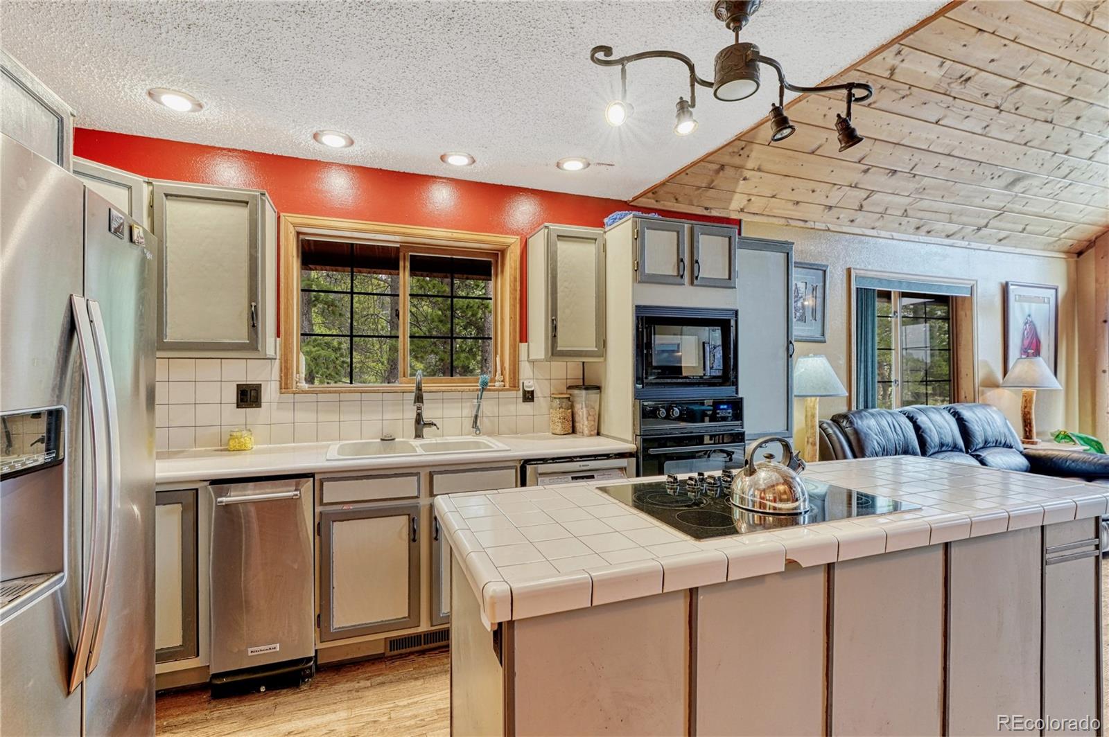 153 Nebraska Drive Idaho Springs CO 80452