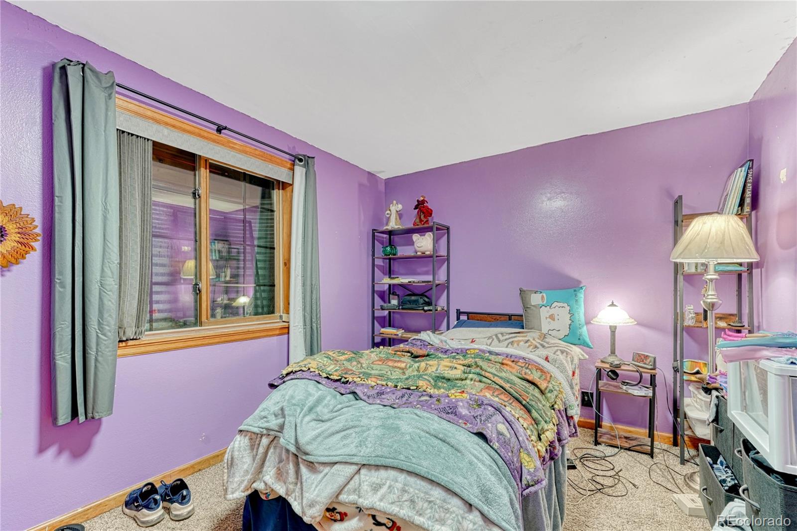153 Nebraska Drive Idaho Springs CO 80452