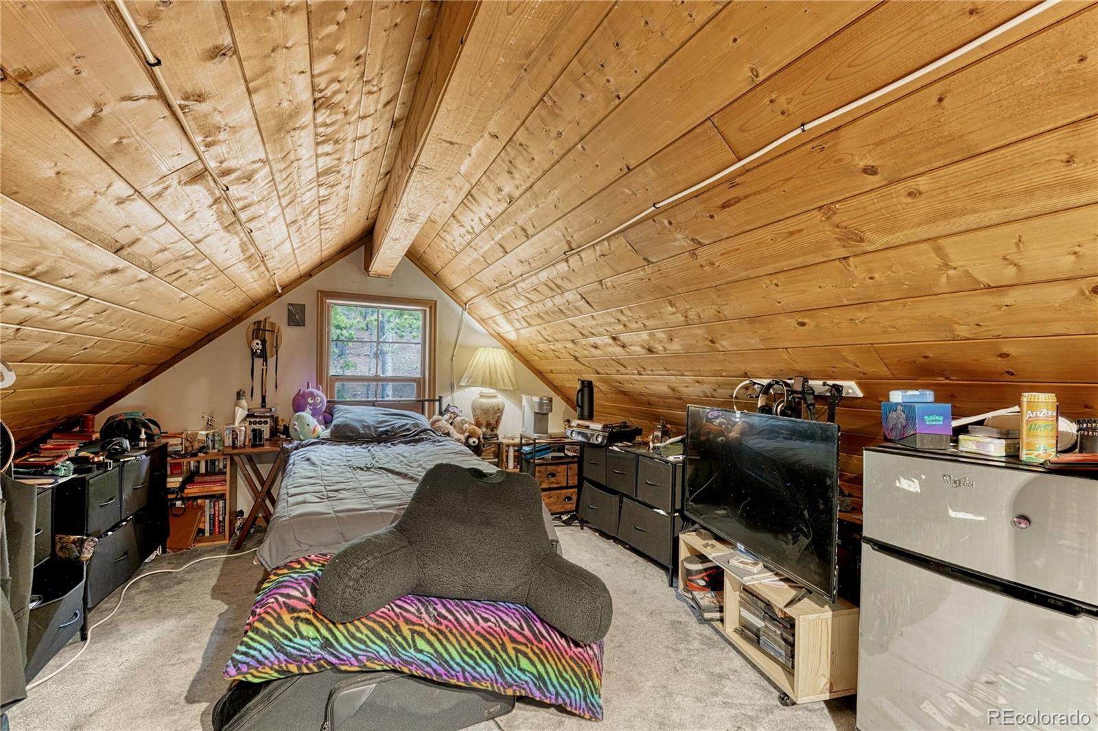153 Nebraska Drive Idaho Springs CO 80452